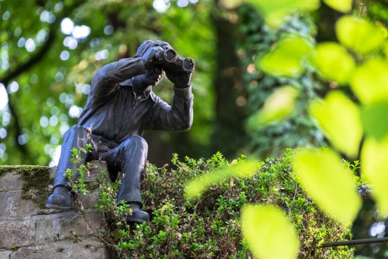 stalking - foto de uma estátua em um parque arborizado de um homem sentado usando binóculos.